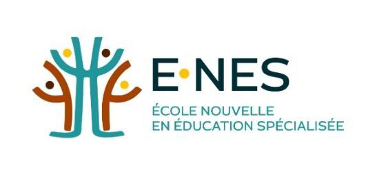 E-NES